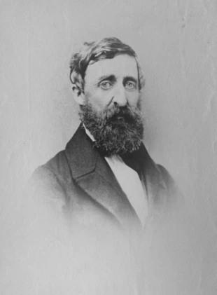 
Henry David Thoreau, ambrotyp, 1861. Z Lewis C. Dawes Collection z Thoreau Institute przy Walden Woods
