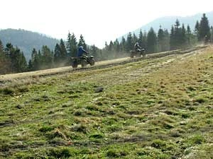 Okolice Wierchomli, Beskid Sądecki. Fot. Bartosz Bociek