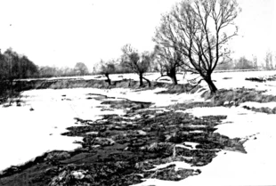 Starorzecze Wisły, Chropań (Babice). Fot. Grzegorz Plewniok