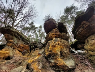 Rezerwat Skałki Piekło pod Niekłaniem. Wszystkie fotografie: Łukasz Misiuna