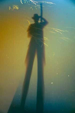 
Biebrza. Fot. Ryszard Kulik
