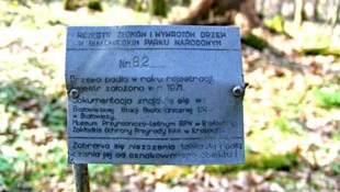 „Ślady działalności naukowej w obszarze dziedzictwa ludzkości, często pozostają na lata, zapomniane lub zagubione...”. Fot. Janusz Korbel