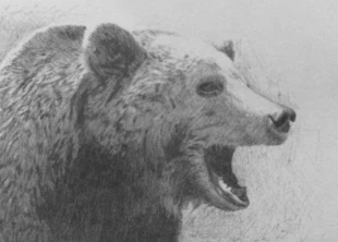 Rys. Magdalena Warszawa