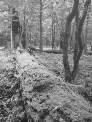 Fot. Katarzyna Barańska