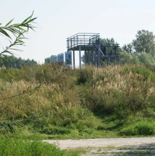 
Wieża obserwacyjna została ustawiona na wzniesieniu na zbiornikami wodnymi. Fot. Aleksandra Gierko
