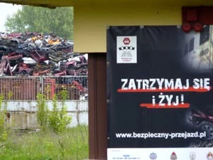 Fot. Ryszard Kulik