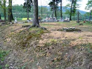 Cmentarz w Lutczy koło Strzyżowa (woj. podkarpackie). Całą roślinność zniszczono herbicydem! Jakim prawem? Fot. Łukasz Łuczaj