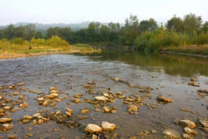 
Rzeka Wiar. Fot. Łukasz Koba
