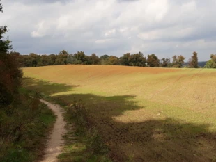 Morenowy krajobraz. Fot. Bartosz Świątek