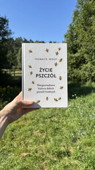 „Życie pszczół” – okładka książki. Fot. Anna Korn-Barcikowska