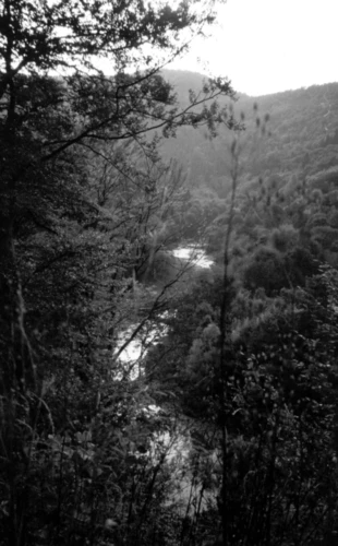 Łokieć. Fot. Jacek Zachara