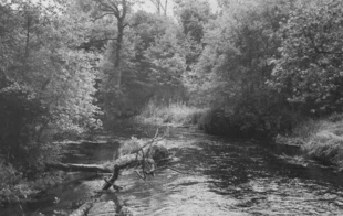 Fot. Leszek Dylewski