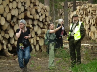 Obywatelski spacer dla Puszczy, ilość przygotowanych do wywozu drzew poraża, to na pewno walka z kornikiem? Fot. Radosław Ślusarczyk