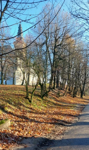 Łysiec. Fot. Łukasz Misiuna