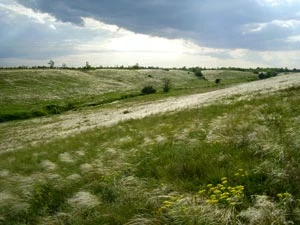 Stepy w dolinie rzeki Mlecznej, projektowany Park Narodowy Murawski. Fot. Aleksy Wasyluk