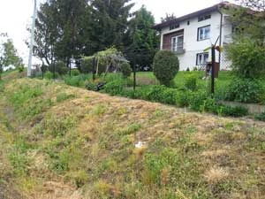 Pobocze w Niepli koło Jasła. Roślinność przydrożnej skarpy zniszczona herbicydem. Fot. Łukasz Łuczaj