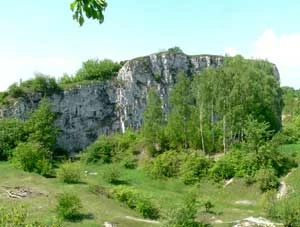 Zakrzówek, 9 maja 2008 r. Fot. Mariusz Waszkiewicz