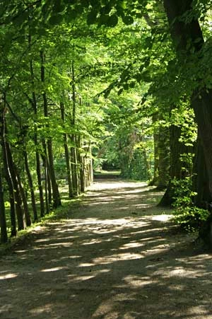 Park przylegający do Katedry w Pelplinie. Fot. Krzysztof Szczygieł