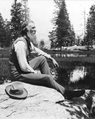 John Muir – gorący zwolennik pozostawienia dużych obszarów przyrody w stanie dzikim. commons.wikimedia