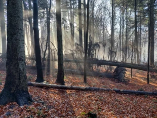 Łysiec. Fot. Łukasz Misiuna