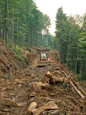 Budowa drogi zrywkowej. Fot. Krzysztof Wojciechowski
