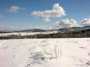 Grzbiet Kamienicki w Górach Izerskich, zimy są tu surowe i śnieżne, wysokie opady przynoszą atlantyckie niże, szybko przemieszczające się nad niemieckimi nizinami i zderzające się z 1000 metrowym wałem Izerów. Fot. Grzegorz Idziak