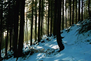 Fot. Ryszard Kulik