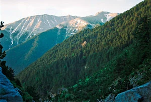 Olimp. Fot. Ryszard Kulik