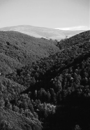 Góry Godeanu. Fot. Jacek Zachara