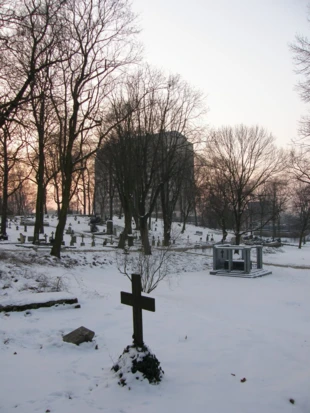 Cmentarz Zasłużonych Wielkopolan w zimowej szacie. Fot. Bartosz Światek