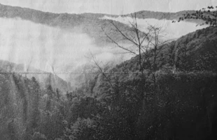 Czergow. Prywatny rezerwat we mgle. Fot. Janusz Korbel