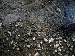 Fot. Daria Kozłowska