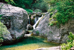 Wąwóz Epinea. Fot. Ryszard Kulik