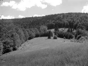 Gorce. Fot. Kaj Romeyko-Hurko