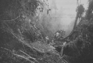 Fot. Allpa Janpirina