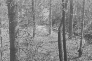 Dolina Ostrego. Fot. Radosław Szymczuk