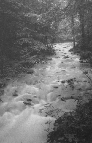 Fot. Maciej Narczyński