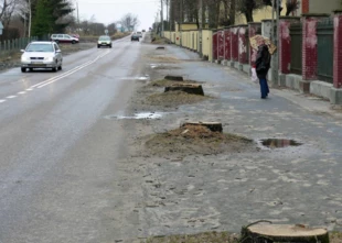 
Na przełomie 2006/2007 tylko przy tej drodze prowadzącej z Kętrzyna do Bartoszyc wycięto aż 4105 drzew! Fot. Krzysztof A. Worobiec
