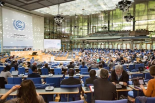 
Warsztat na temat możliwości dalszego zwiększania zaangażowania zainteresowanych stron pozapaństwowych (np. miasta, biznes) w celu wzmocnienia wdrażania postanowień z decyzji 1/CP.21 (wprowadzającej Porozumienie Paryskie), sesja negocjacji w Bonn, 8-18 maja 2017. Fot. UNclimatechange
