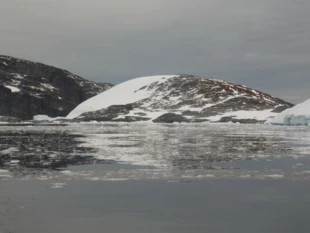
Wyspa Green – Antarktyczne Obszary Specjalnej Ochrony (ASPA) niedaleko od Ukraińskiej Stacji Polarnej. Fot. Iwan Parnikoza
