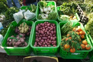 
Stoisko z ekologicznymi warzywami. Fot. Ali Jafri flickr.com  
