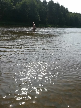 Pilica, sierpień 2016. Fot. Erdmute Sobaszek