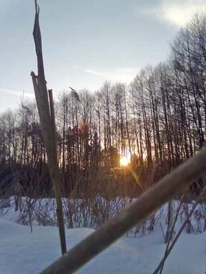 Grudniowy zmierzch. Fot. Anna Gierlińska