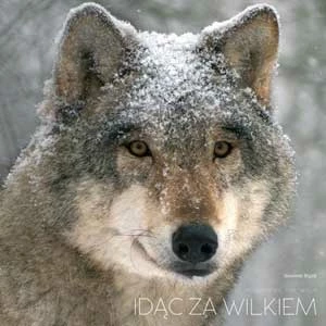 
Okładka „Idąc za wilkiem” Sławomira Wąsika
