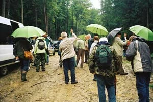 Wizja lokalna na stokach Jaworzyny Krynickiej nieopodal planowych tras zjazdowych kompleksu rekreacyjnego Szczawniczek, wrzesień 2008. Fot. Grzegorz Bożek