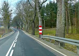 
Barierki energochłonne i oznakowanie drzew zamiast wycinki drzew – droga nr 59 Stare Kiełbonki–Niewiady. Fot. Krzysztof Worobiec
