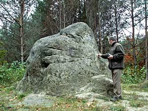 Głaz w Zapowiedniku Roztocze. Fot. Krzysztof Wojciechowski