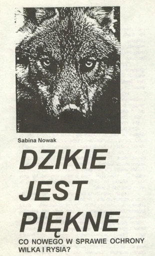 Źródło: Dzikie Życie, nr 1, styczeń 1995