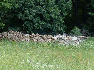 Zaśmiecony gruzem fragment wału prasłowiańskiego. Stanowisko archeologiczne świadczące o pierwszych śladach życia duchowego na Łyścu. Zabytek kultury. Fot. Łukasz Misiuna