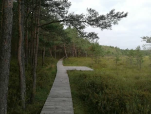 Poleski Park Narodowy. Fot. Grzegorz Bożek